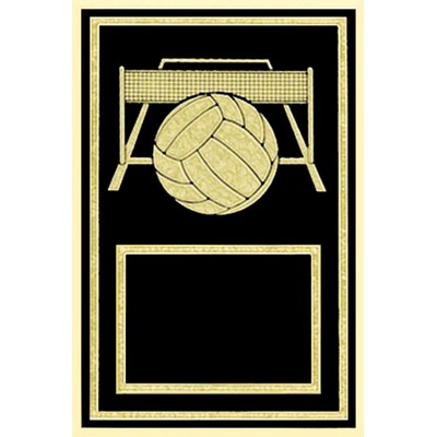 Cherry Plaque 6" x 8" - With a Volleyball 4" x 6" Activity Plate