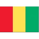 3'x5' Guinea U.N. Nylon Outdoor Flag - Style A