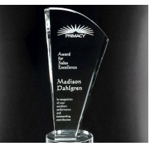 Merit Award 12"