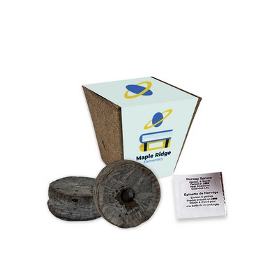 Jumbo Planting Kits with Paper Wrap - Norway Spruce