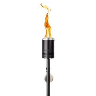 Mesa Torch