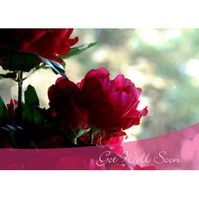 Magenta Flowers Get Well Cards