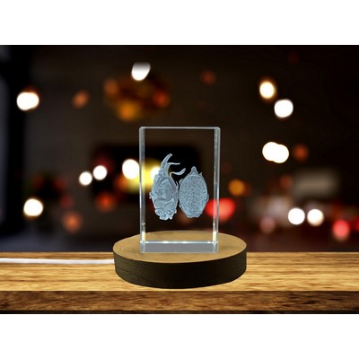 Dragon Fruit 3D Engraved Crystal Trophy Award w/LED Base