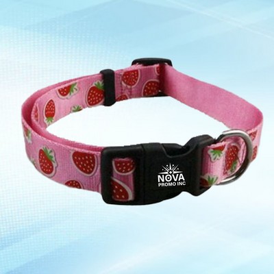 5/8-Inch Wide by 12-Inch Long Polyester Heavy-Duty Dog Collar
