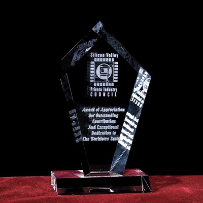 Custom Crystal Image in Pentagon Plaque w/3D Logo/ Text (11")
