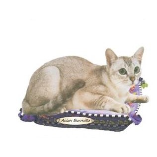 Asian Burmilla Cat Promotional Magnet w/ Strip Magnet (4 Square Inch)