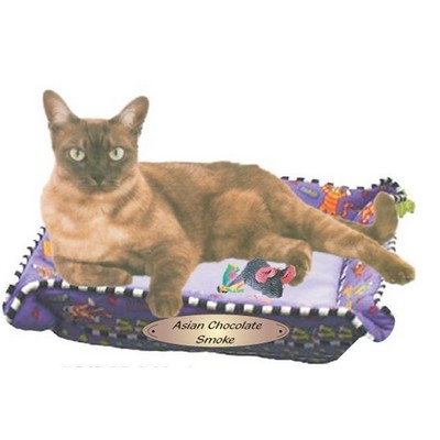Asian Chocolate Smoke Cat Maxi Magnet (3 Square Inch)