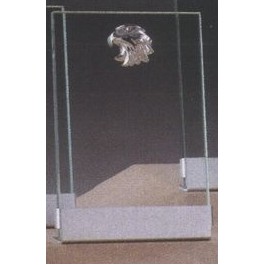 Clear Glass Plaque Award w/Silver Eagle, Silver Plastic Mounts & Aluminum Alloy Base (7"x9.5")