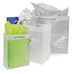 Clear Frost Bag w/Rope Handle (8"x4"x11")