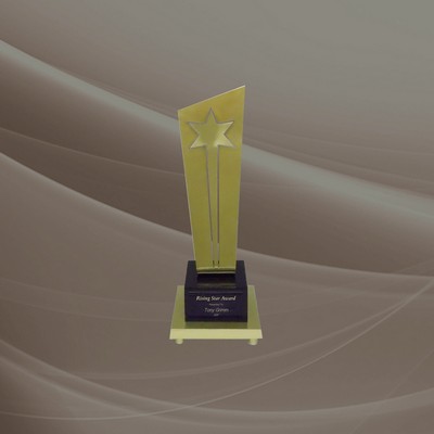 Rising Star Award