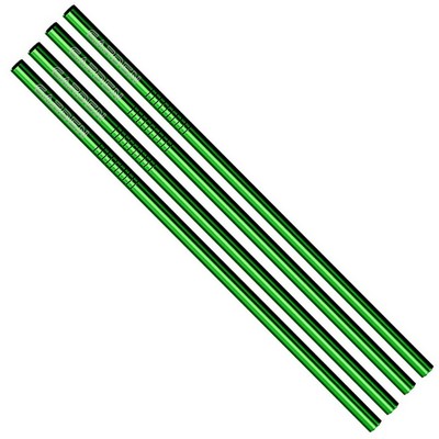 Straight Stainless Steel Straws: Set Of 4" Green