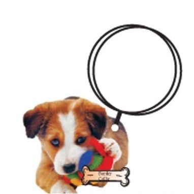Border Collie Dog Keychain w/Mirrored Back (2 Square Inch)
