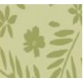 Greenery Double Ream Designer Tissue Paper