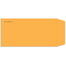 Custom Self Seal License Plate Envelope